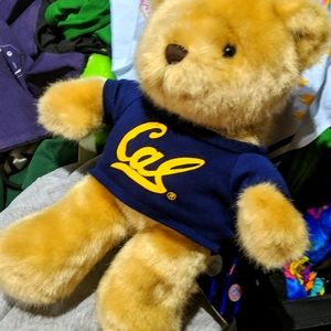 NWT Cal Bear